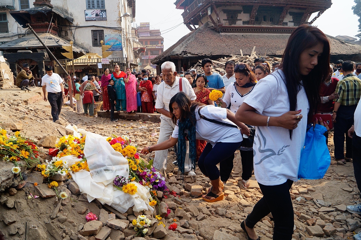 Ukuran Kucing 12.000 Tahun Lalu: Misteri dari Masa Lampau