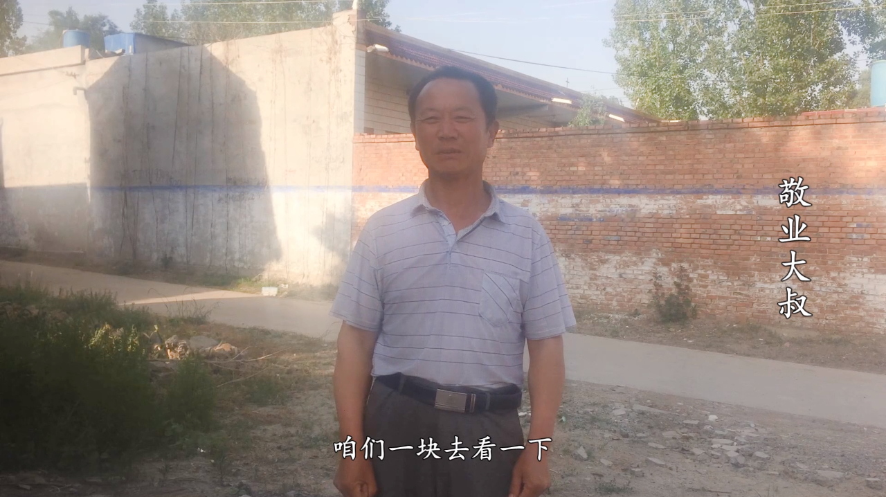 你知道什么是扫帚菜吗?它都有哪些作用