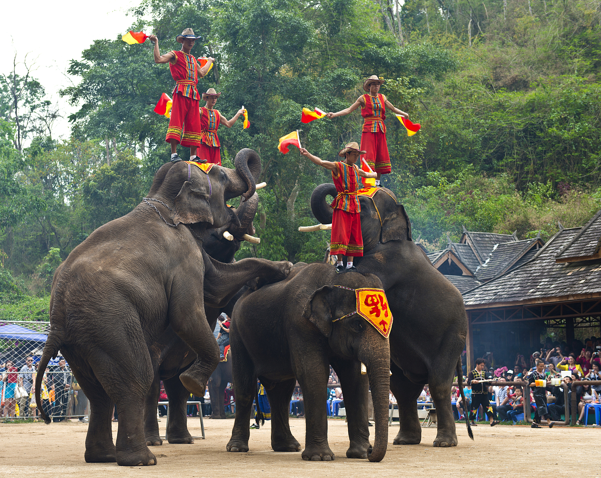 演训准备子系统