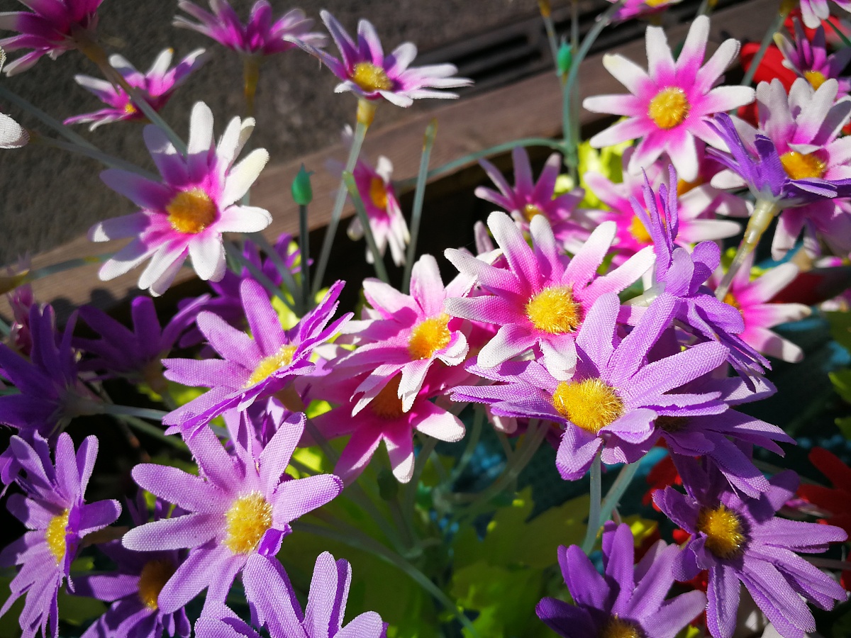 保定化妆学校推荐：学化妆去哪里好？