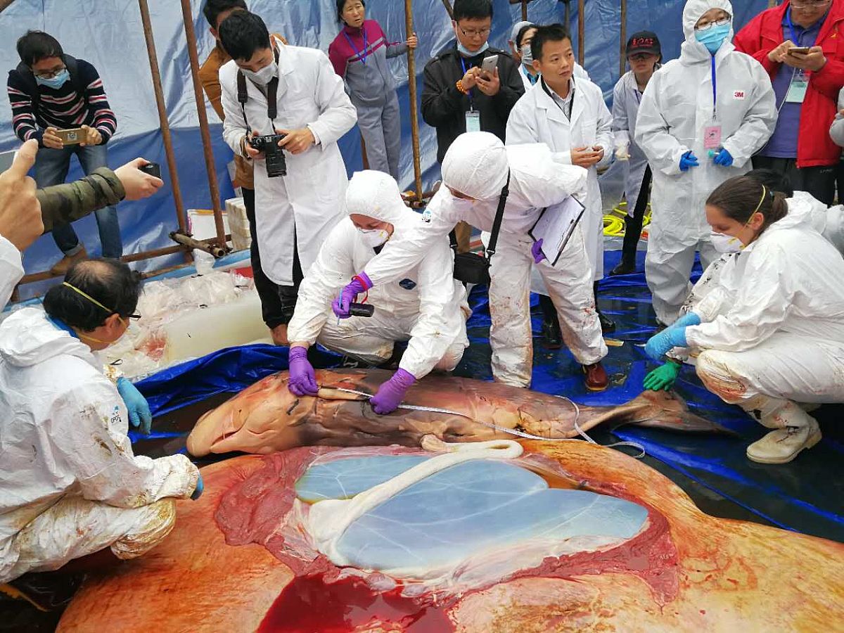 广东海洋大学工业工程专业怎么样