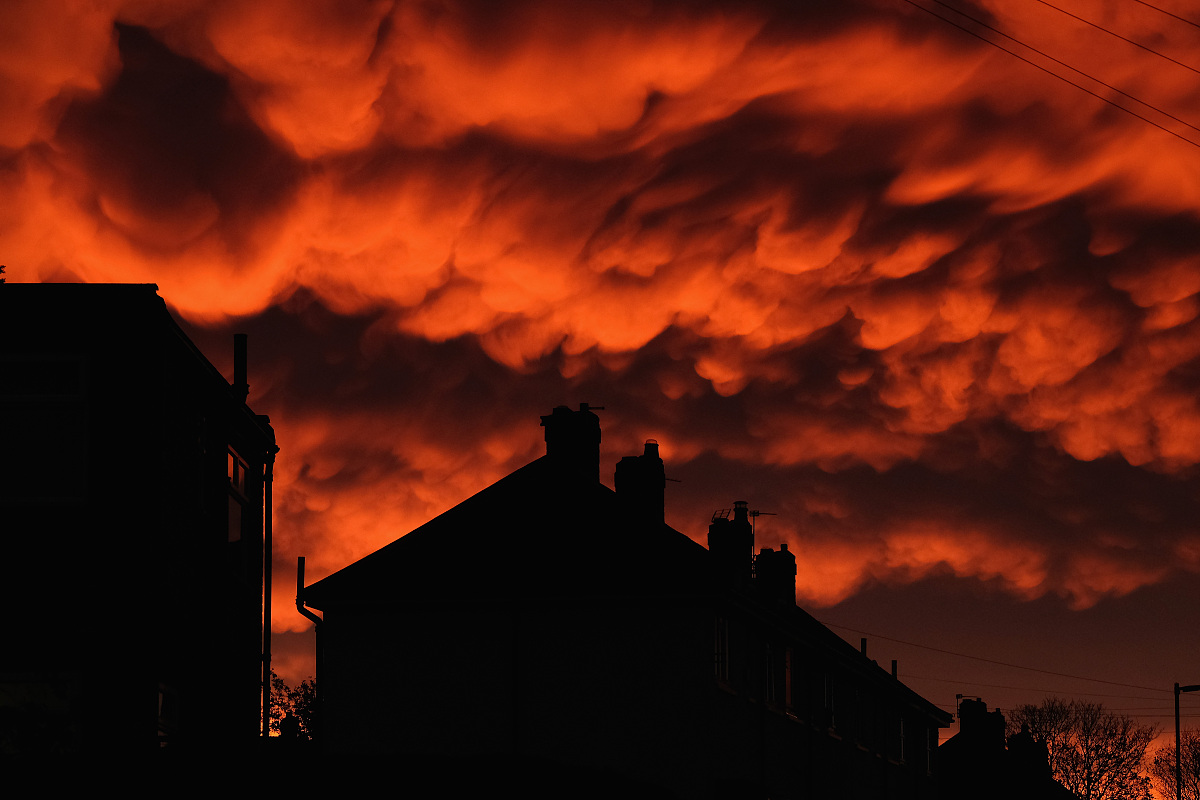 cloudhuaweicom激活密码忘记