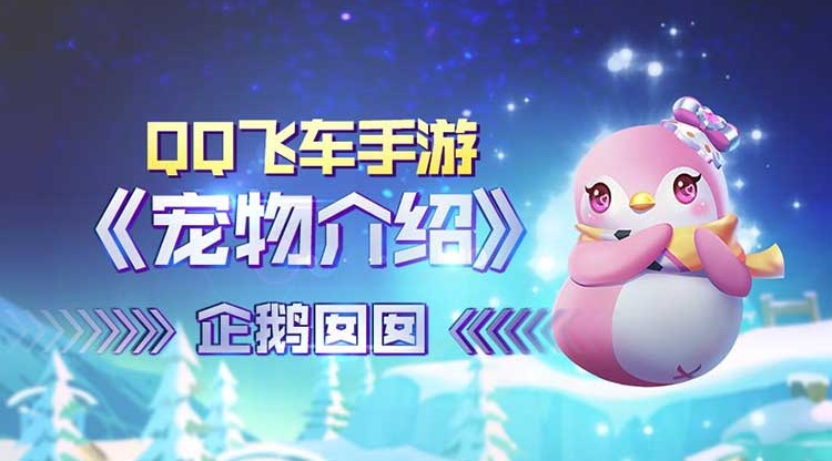 乖巧可爱的粉色宝宝 宠物介绍之企鹅囡囡