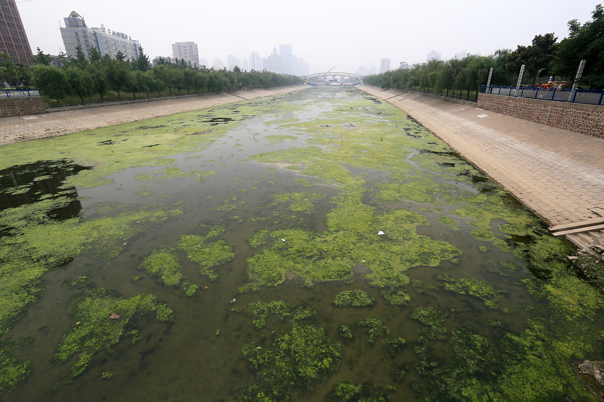 郑州市经济增长对水质的影响