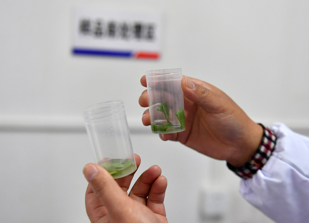 喝一罐啤酒4小时后能吹气测试吗？专家解答！