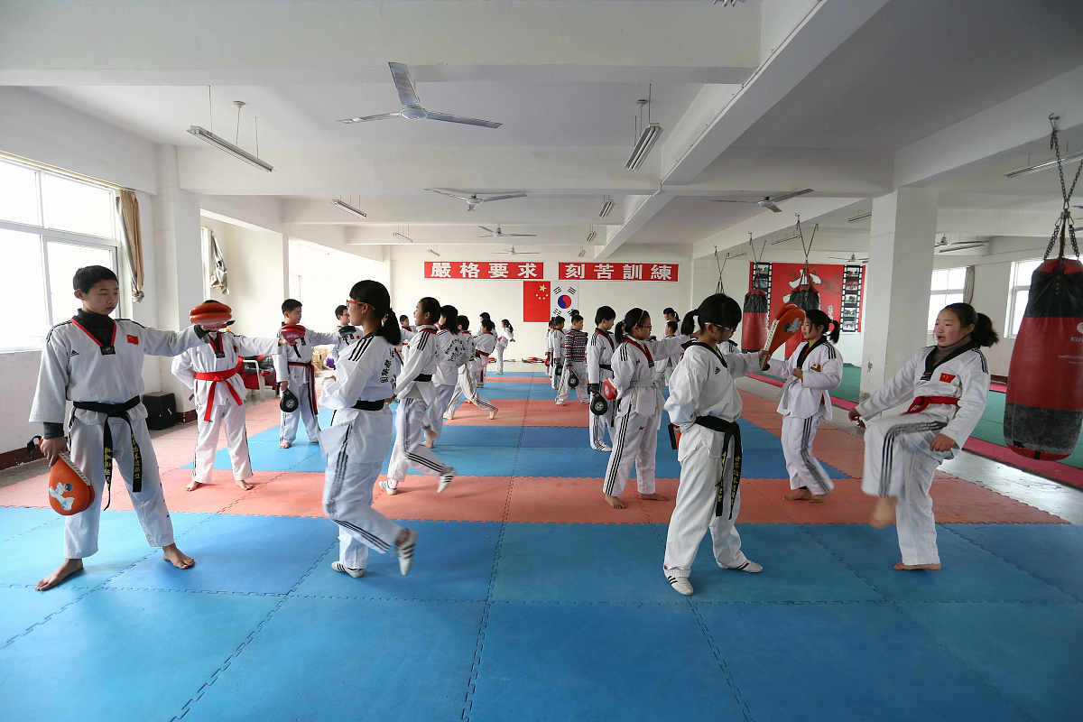 安徽阜阳体育运动学校跆拳道专业：培养跆拳道技能和精神品质