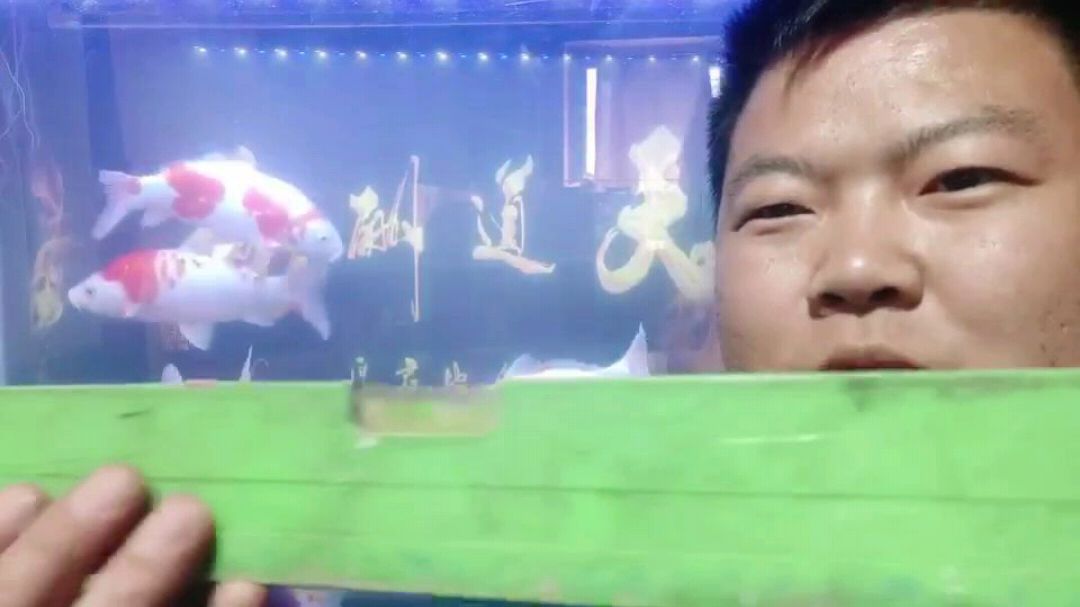 鱼缸为什么会爆?