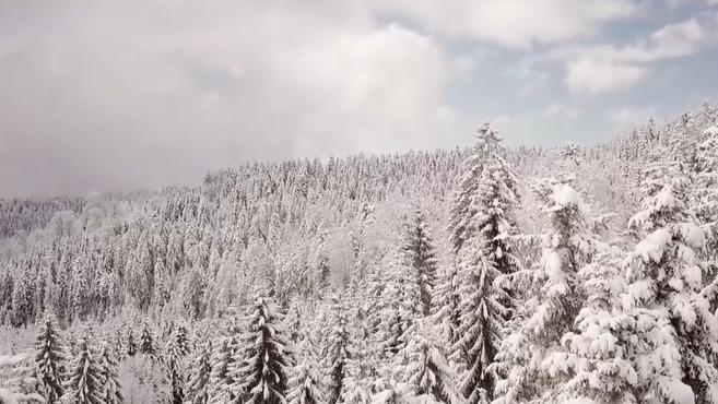 [图]东北热门看雪景点