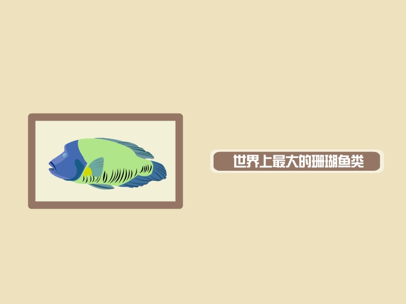 苏眉鱼:体延长而呈长卵圆形