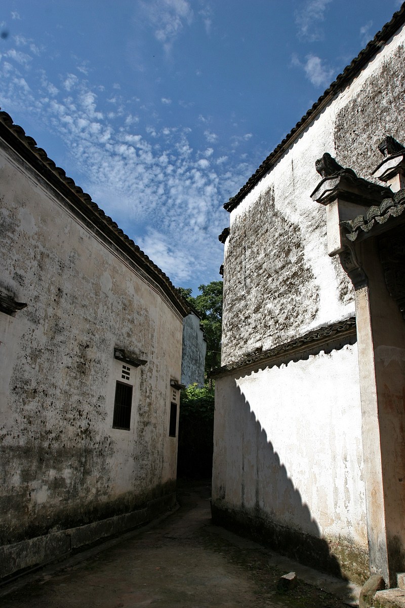 诸葛亮：权臣还是忠臣？探秘三国名相的政治角色