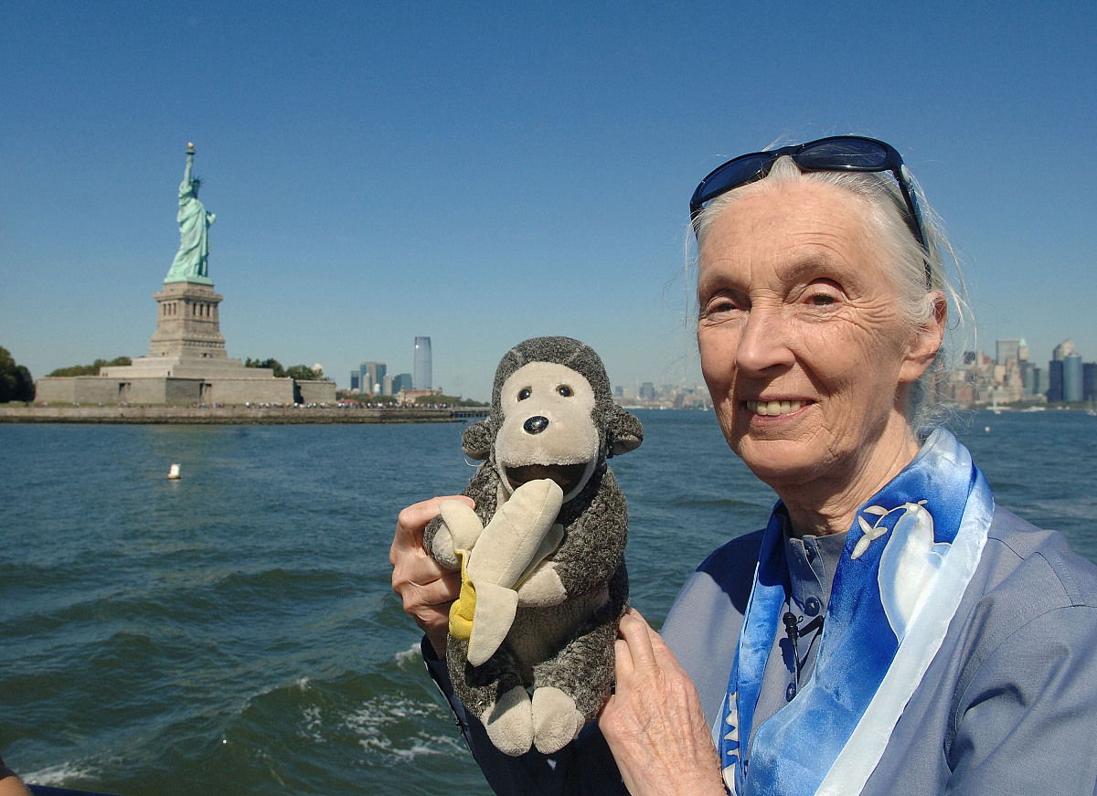 用正式官方的中文翻译这段简历：Fund II Foundation x Roots & Shoots National Fellow		August 2018-July 2019Roots & Shoots National Youth Leadership Council	January 2014-January 2017 Supported by a $3000 USD Fund II Fou