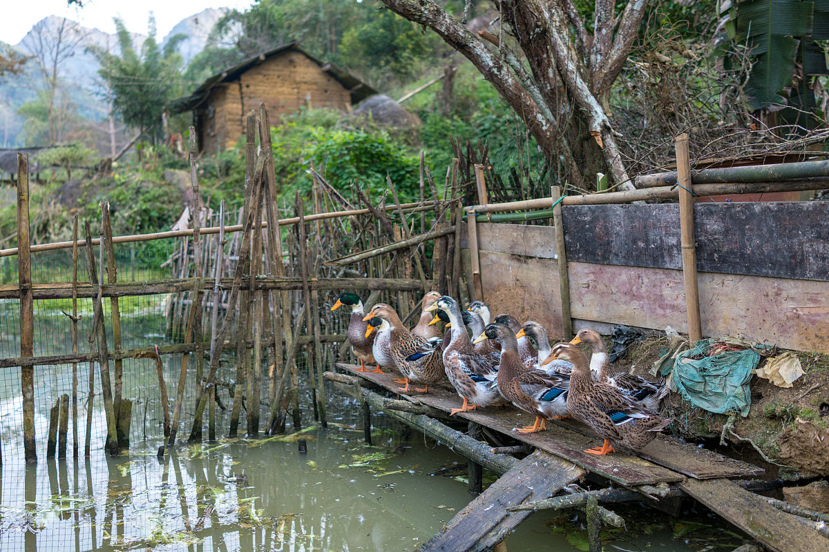 中国的世外桃源的神话
