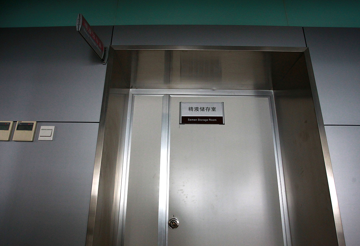 试管婴儿：希望与挑战并存 - 探讨辅助生育技术的利弊