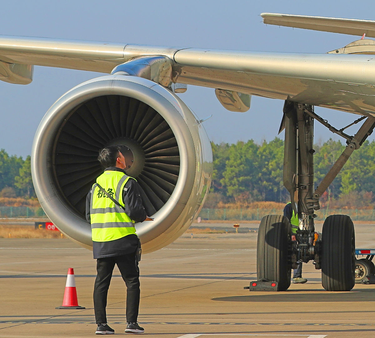 空中惊魂：40,000英尺高空遭遇鸟击风险