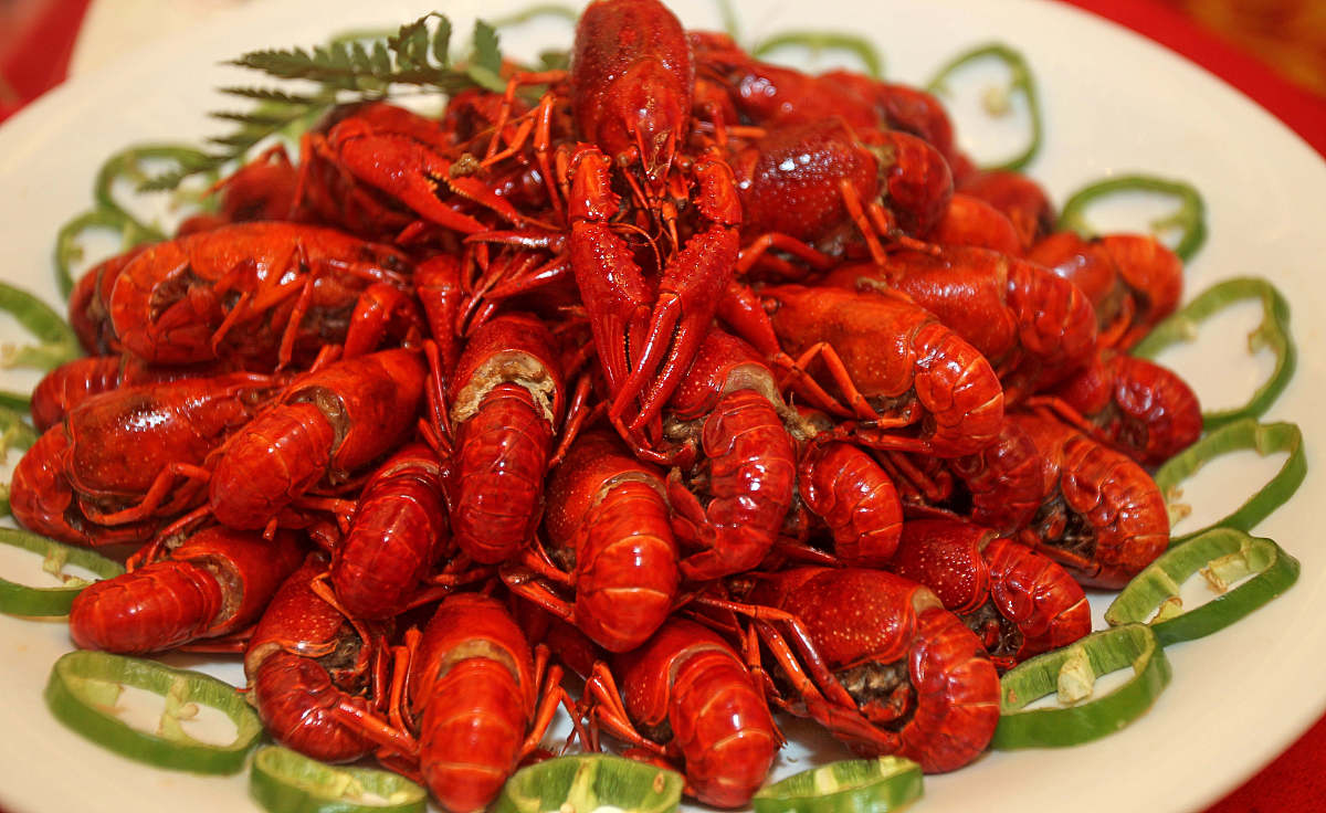 四川烹饪高等专科学校2019+物业管理专业招生