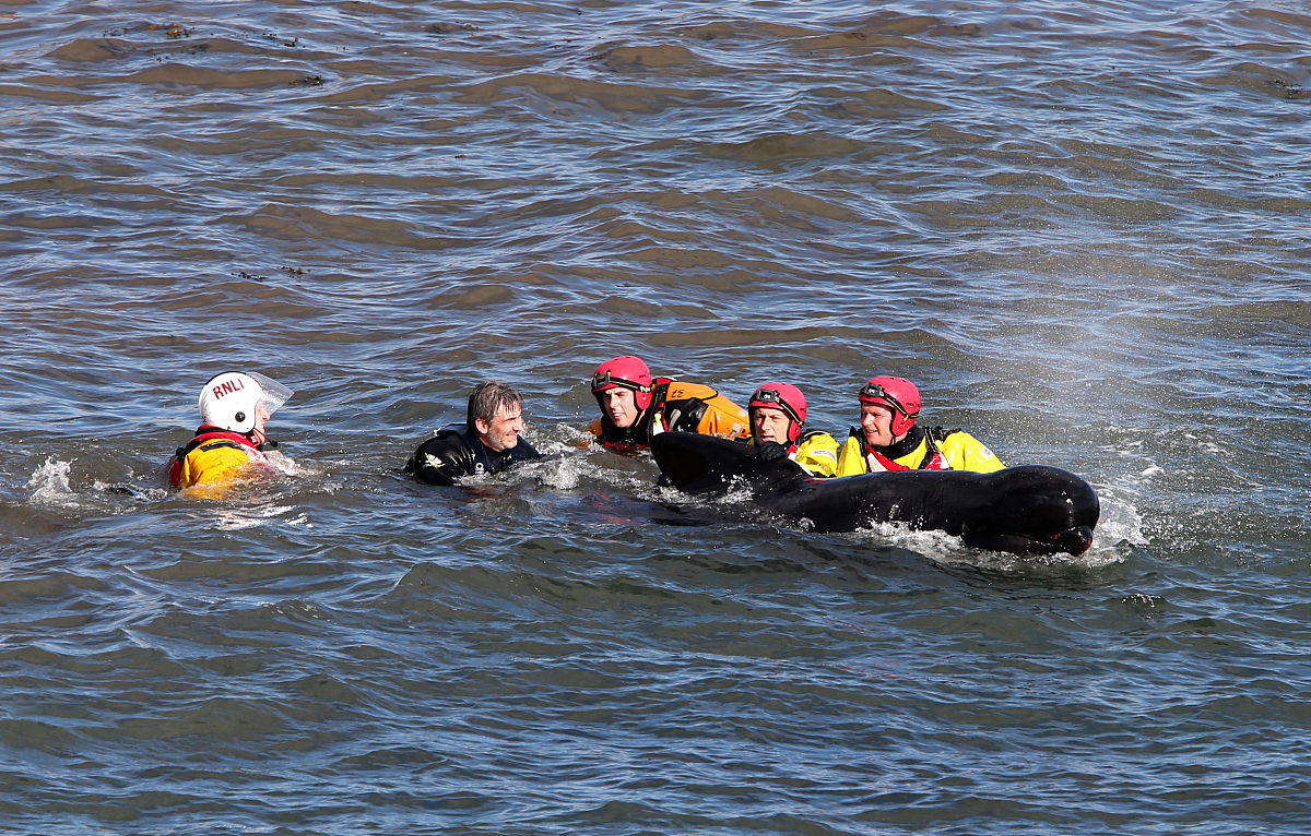 东北财经大学行政管理专业怎么样