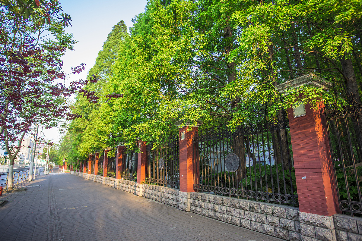 我是泰山学院的请给前十中国大学排名