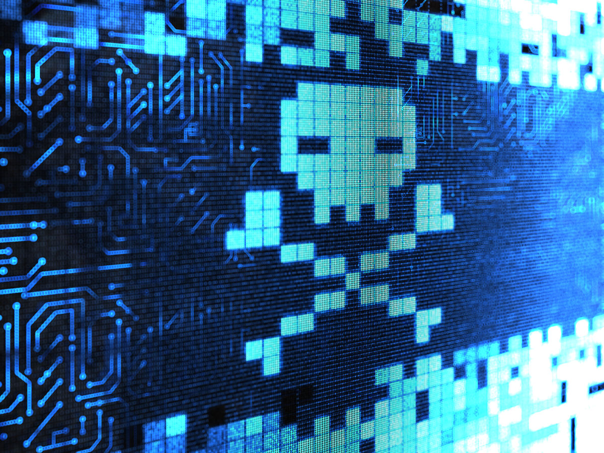 菜鸟小忍者手游更新日志