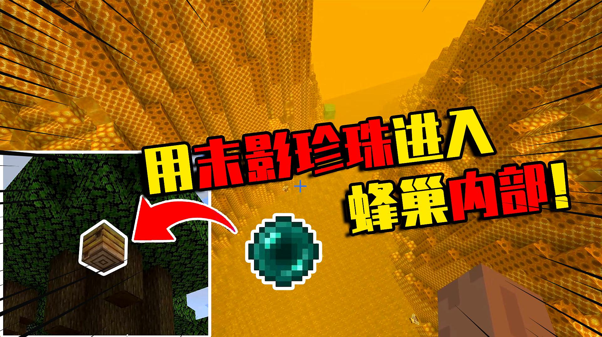 [图]我的世界mod：蜜蜂生活的世界你见过吗？把末影珍珠扔蜂巢试试