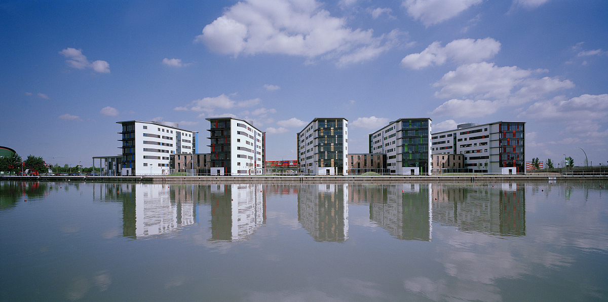 重庆理工职业学院软件技术专业要学什么