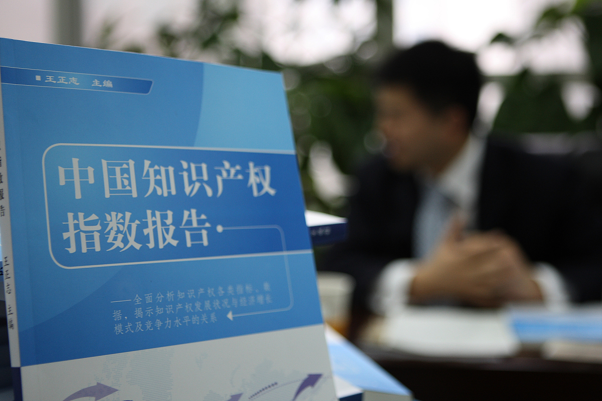 知识产权法典化：国际成功范例与趋势