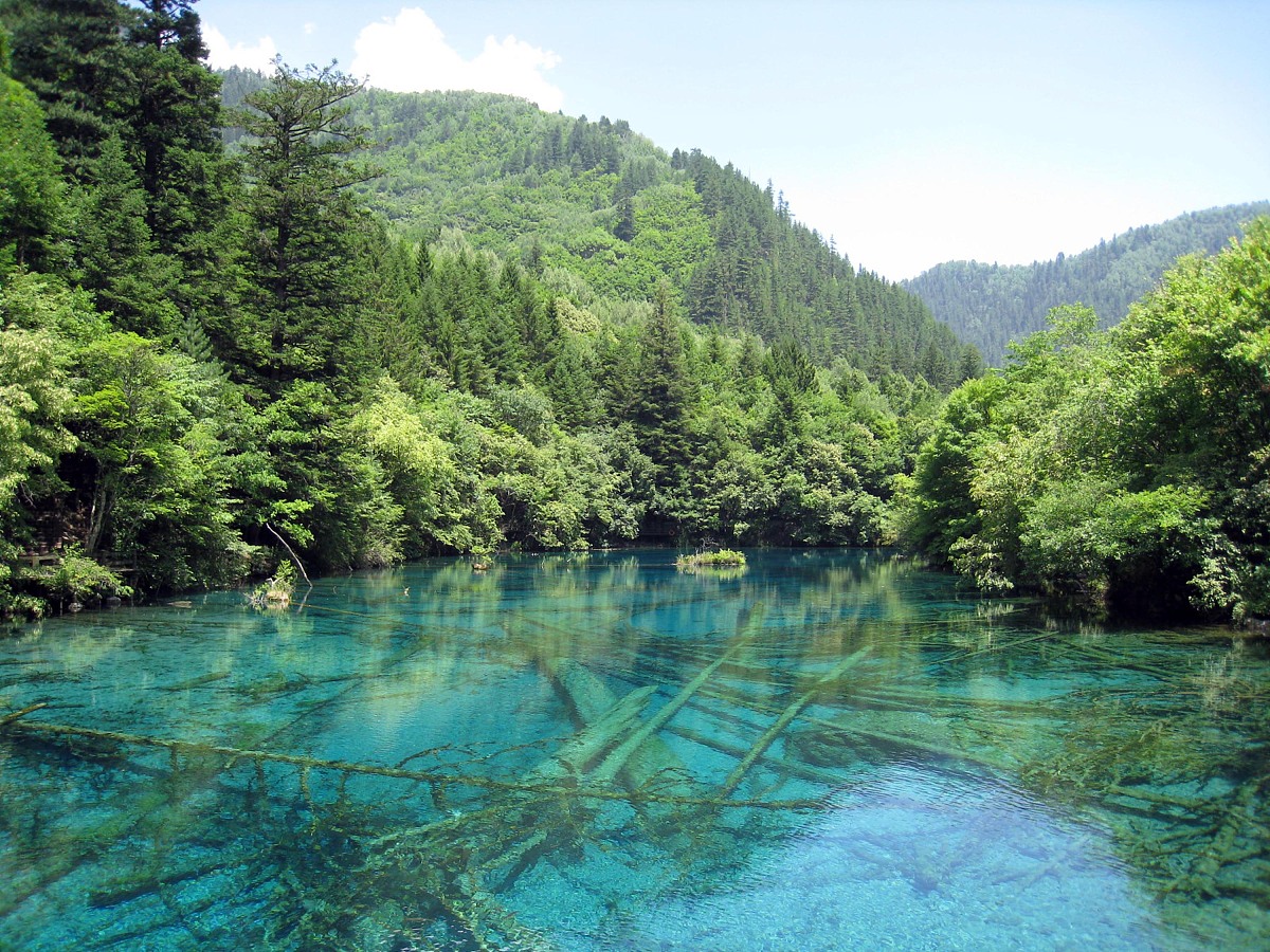 成都华夏商务旅游学校专业介绍 - 培养商务旅游人才的摇篮