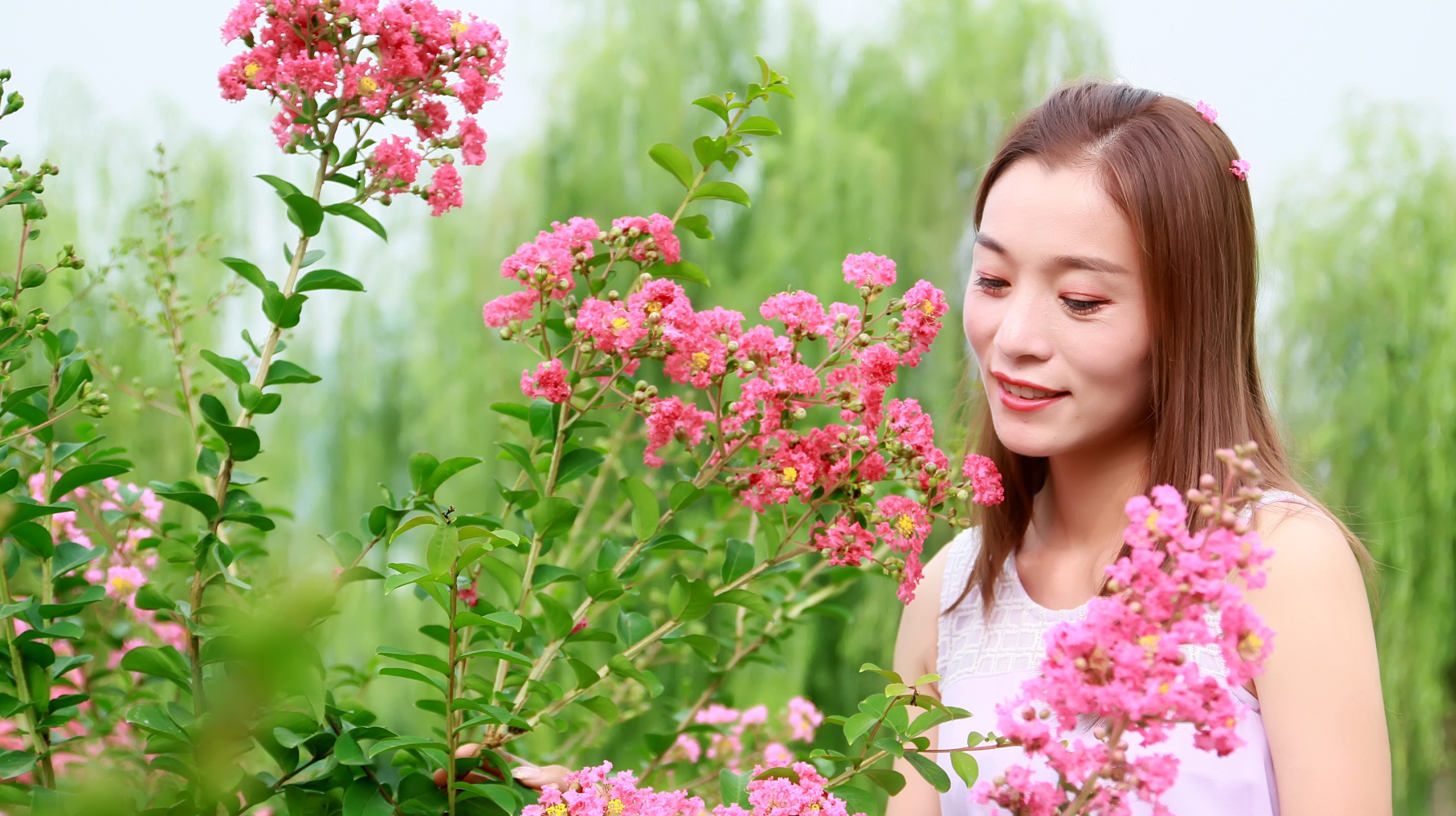 情深深雨蒙蒙主题曲