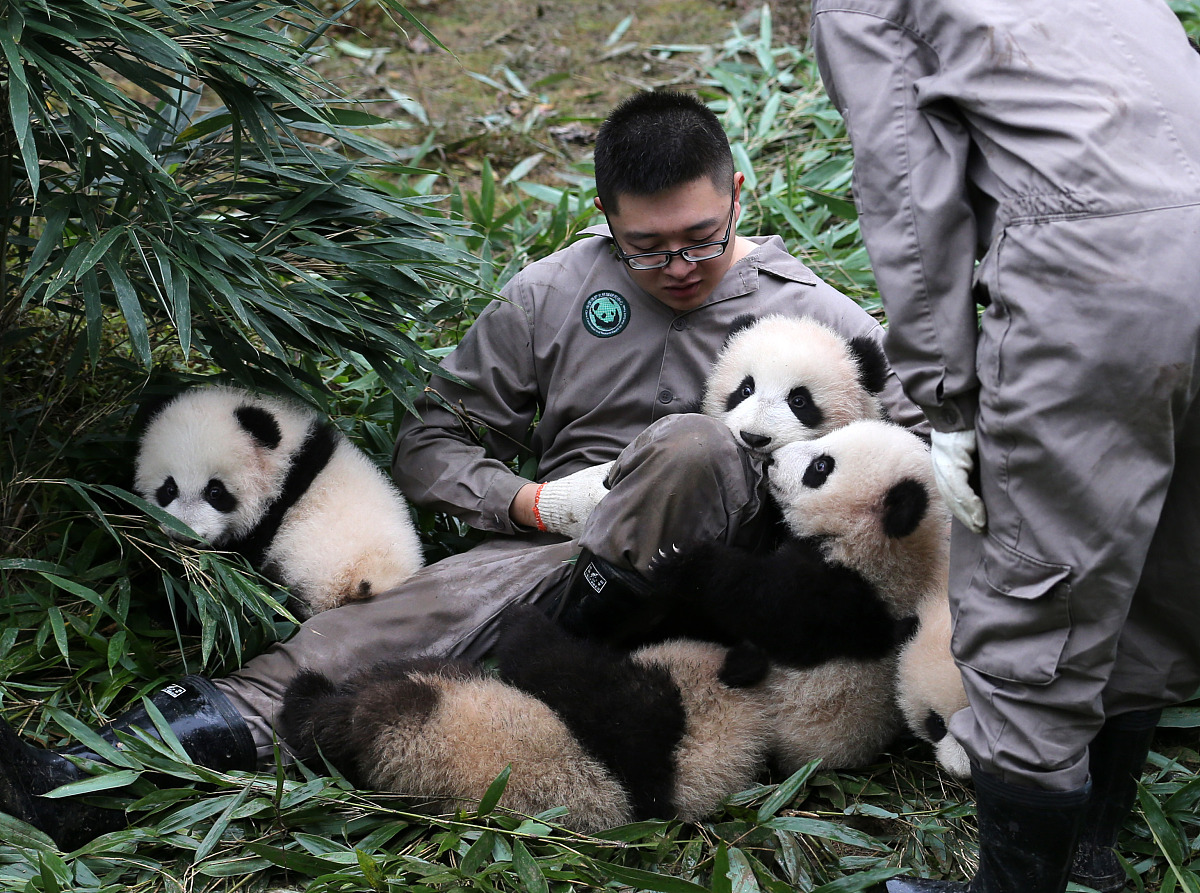 成都幼儿师范学校的五年制大专好吗