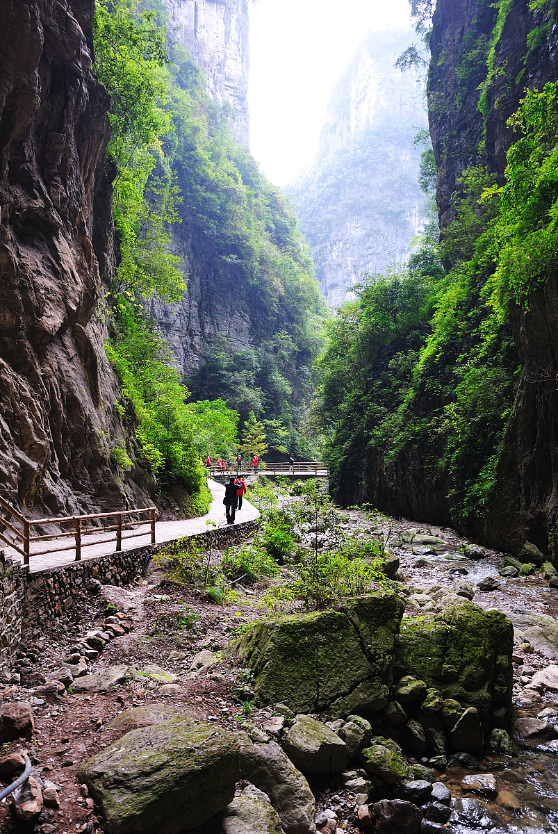 重庆旅游职业学院数字媒体技术专业好不好发展前景怎样