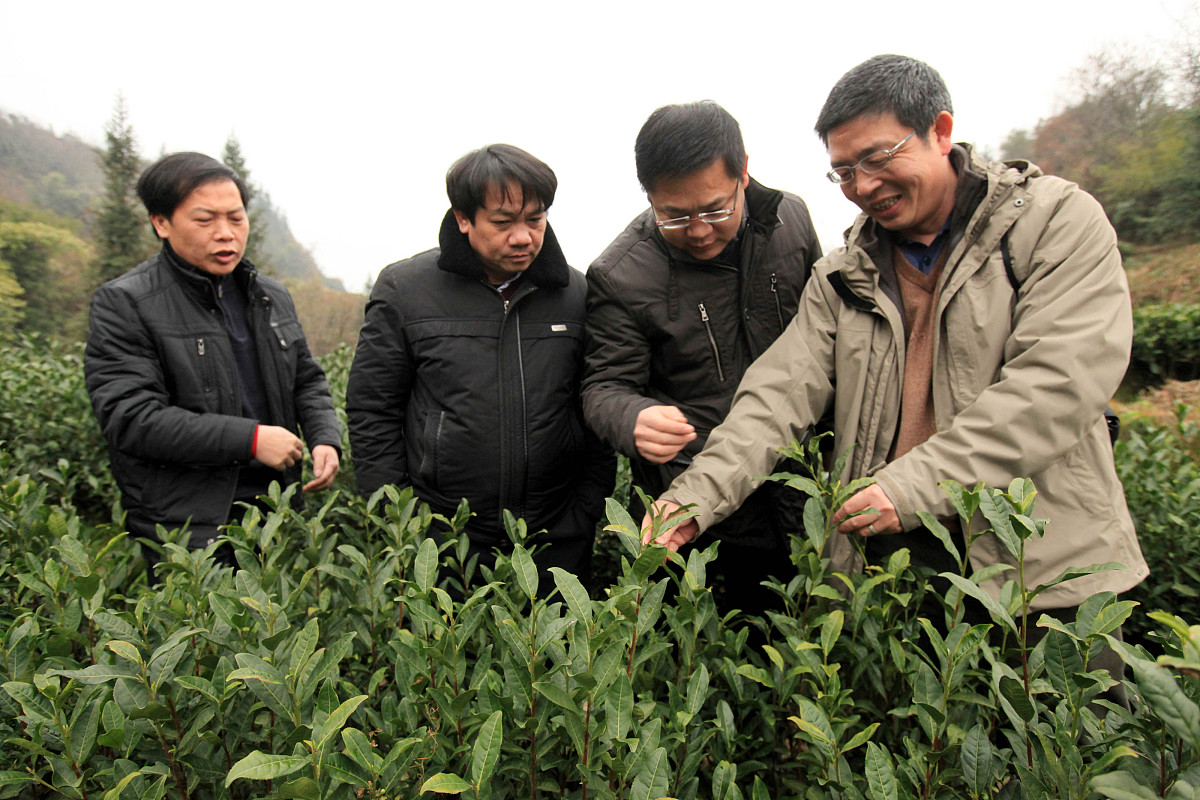 柳州市曝光平台：最管用的求助热线及有效曝光方法
