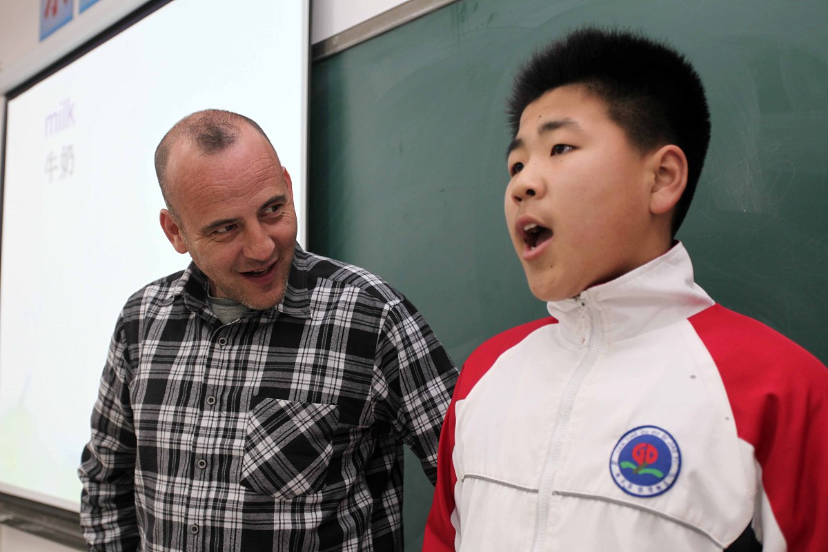 辅导员职业能力研究述评：提升高校学生发展指导效能