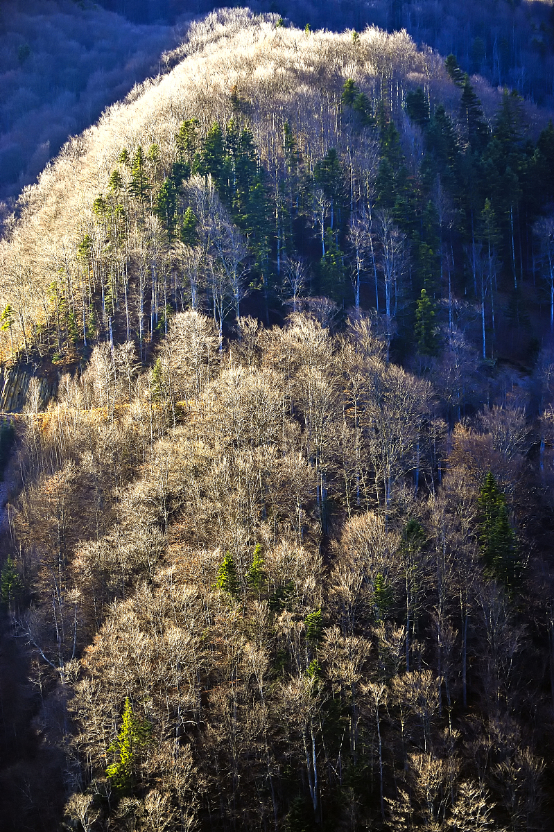 珠海城市职业技术学院旅游管理专业到底行不行设有哪些课程