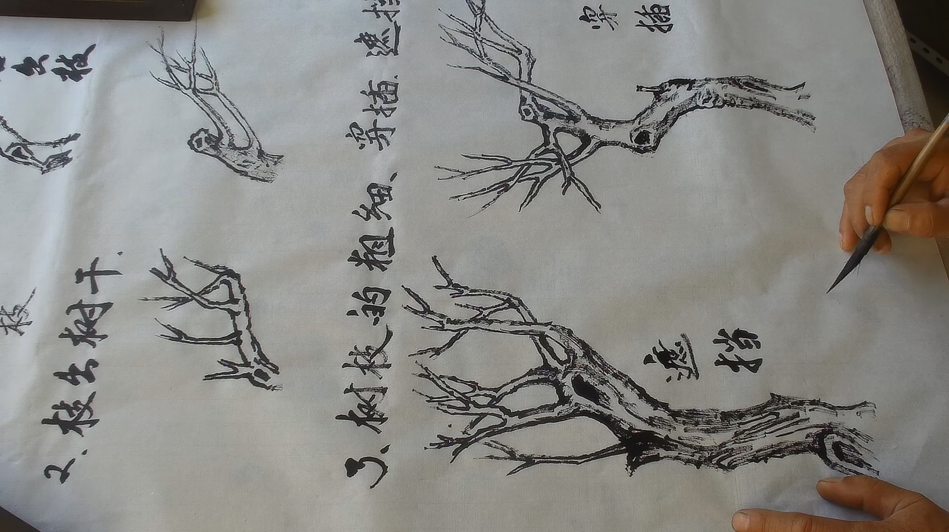 国画写意教学篇:吴作成演示杂树基础的出枝方法,画法简单易懂!