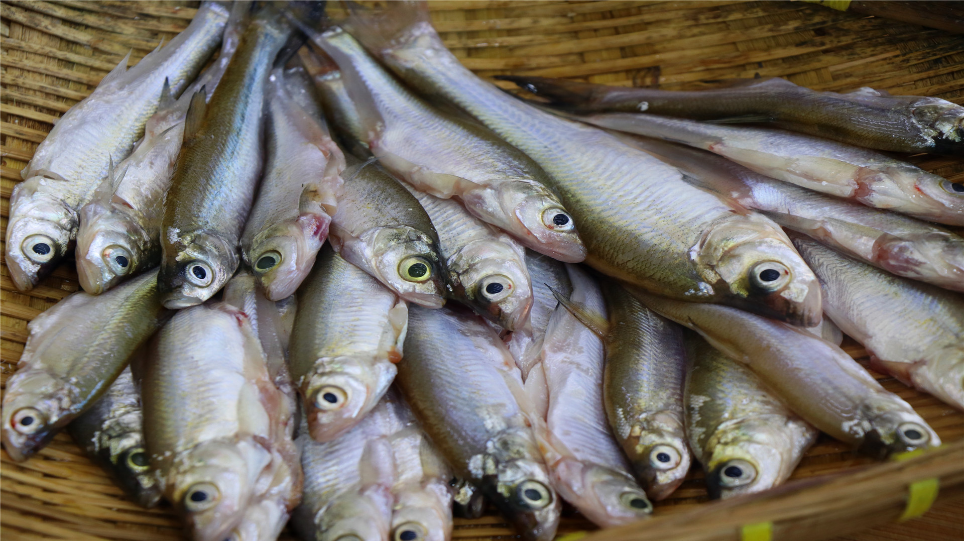 四川师傅这样做小河鱼,一人都能吃10多条,鱼肉细嫩鲜美特好吃