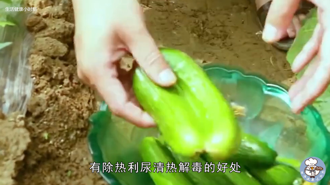 黄瓜别总拍着吃,东北做法清爽开胃,百吃不腻!