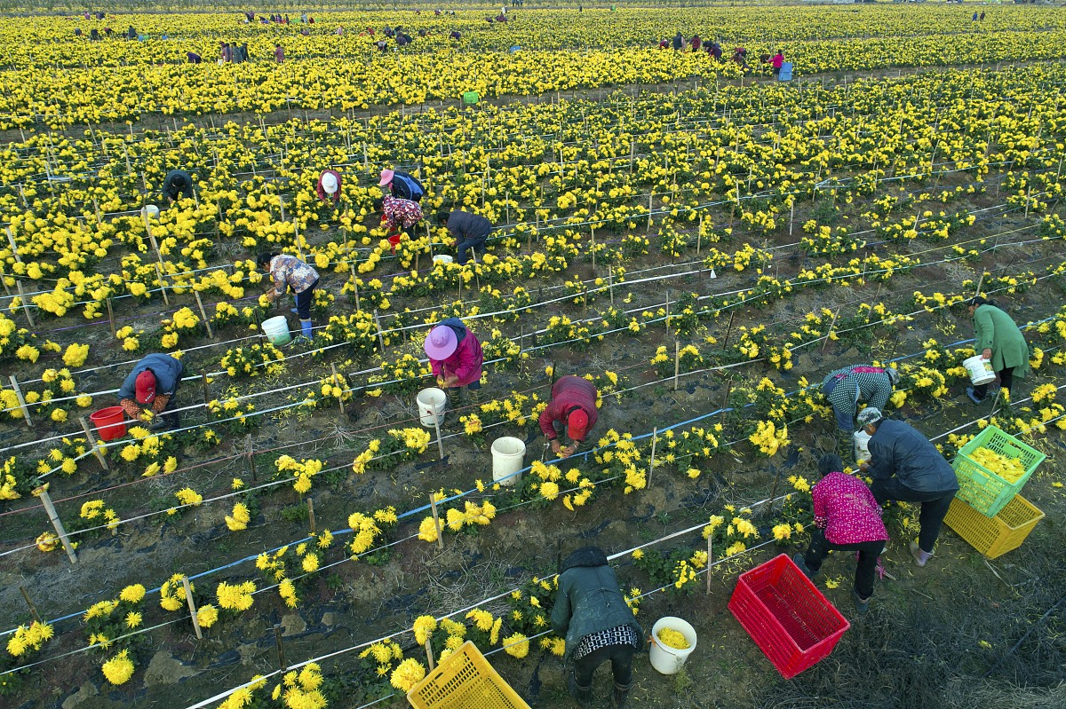 吉林农业科技学院就业前景分析：毕业生如何提升竞争力？
