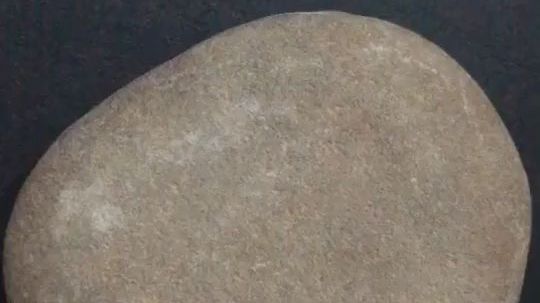 石头画,彩色小小石头鱼