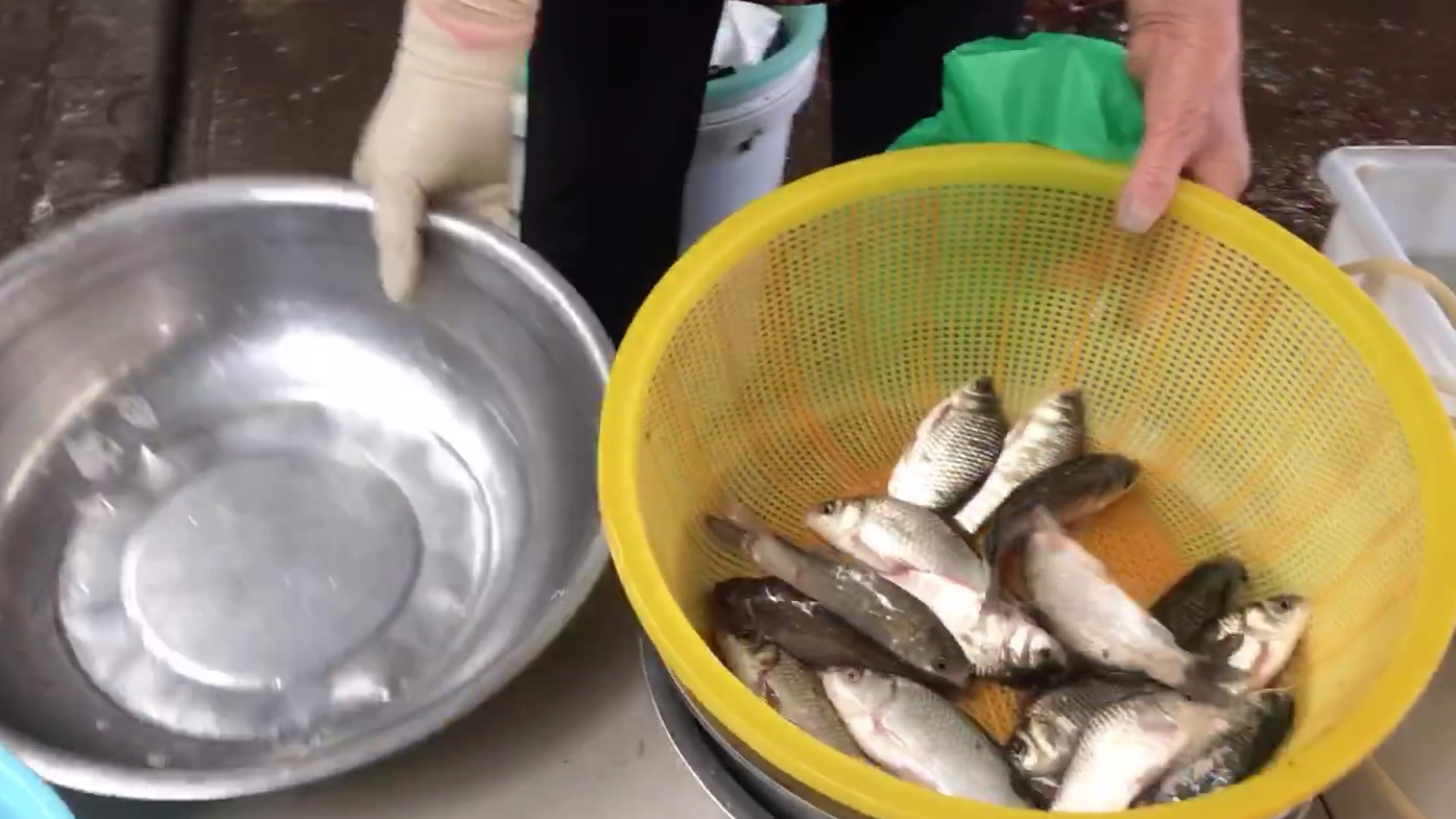 二师兄猪肉价格暴涨,铲屎官抢猫猫的猫鱼吃,不知猫猫怎么想?