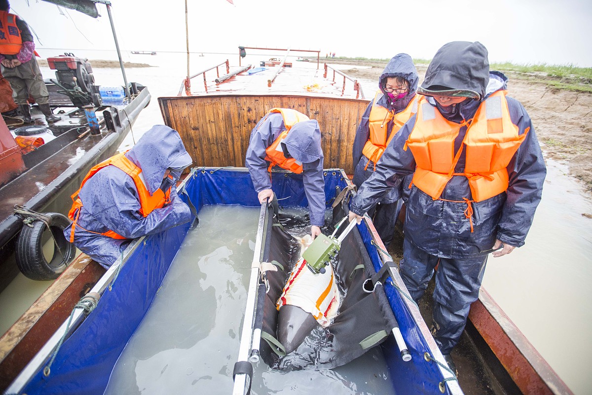 Oil Stain Removal and Safety Measures During Ship Cleaning