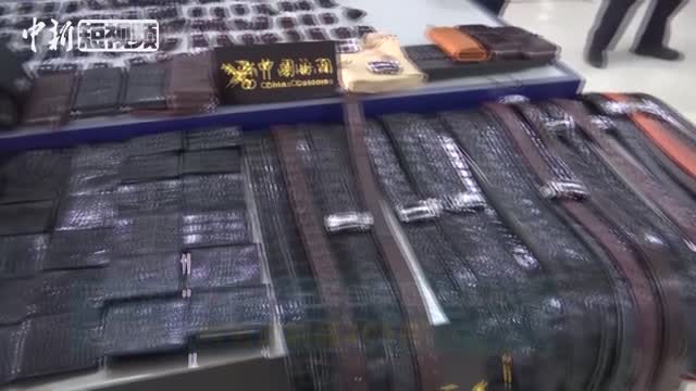 出国旅游带鳄鱼皮包回国?海关提醒会被查扣