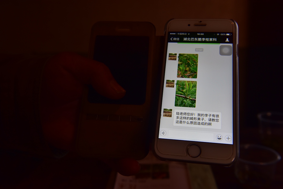 以怎么同步别人微信聊天记录为关键词生成一个标题标题格式为疑问词+教程词。