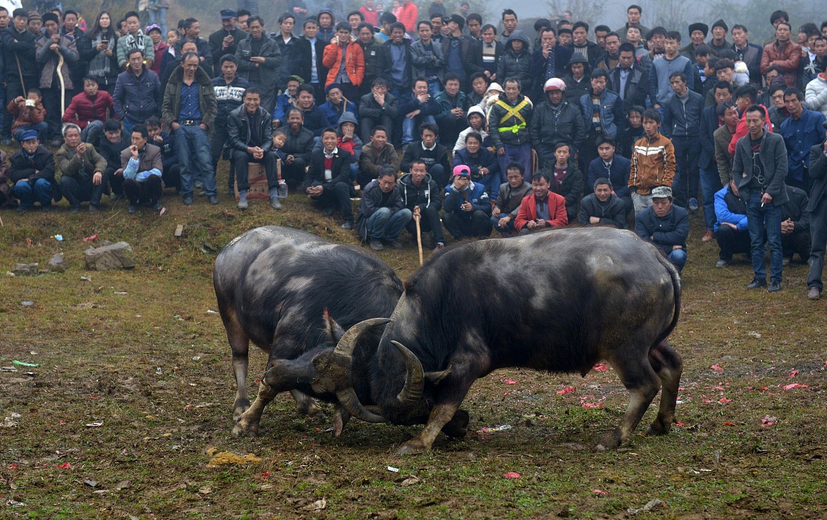 贵州省龙里中等职业学校招生简章