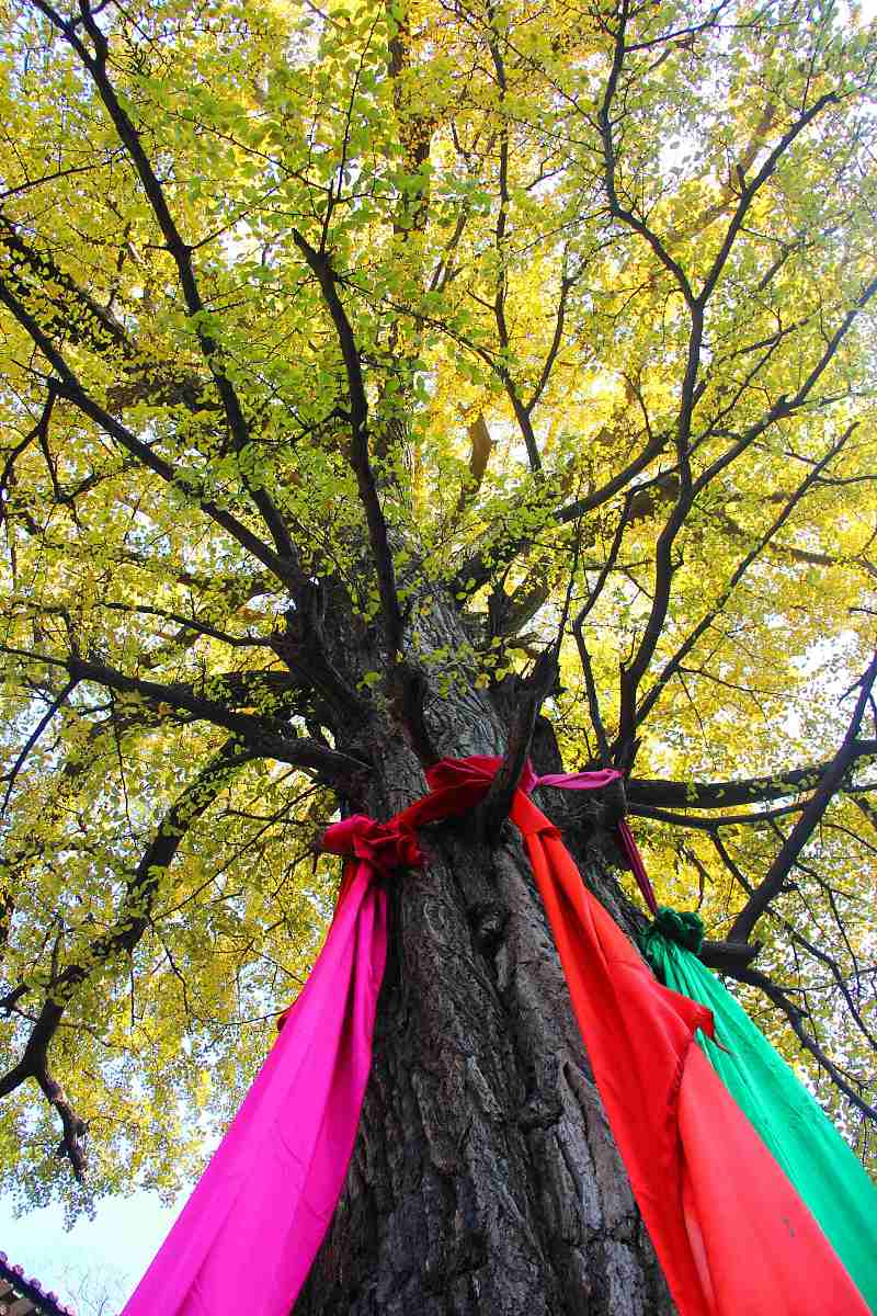 写一份采购合同关于香烛元宝