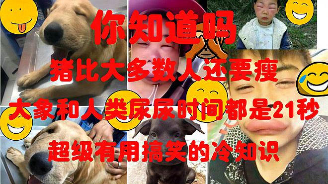 [图]猪比大多数人还要瘦,鸳鸯根本不专情,让人脑洞大开的趣味冷知识