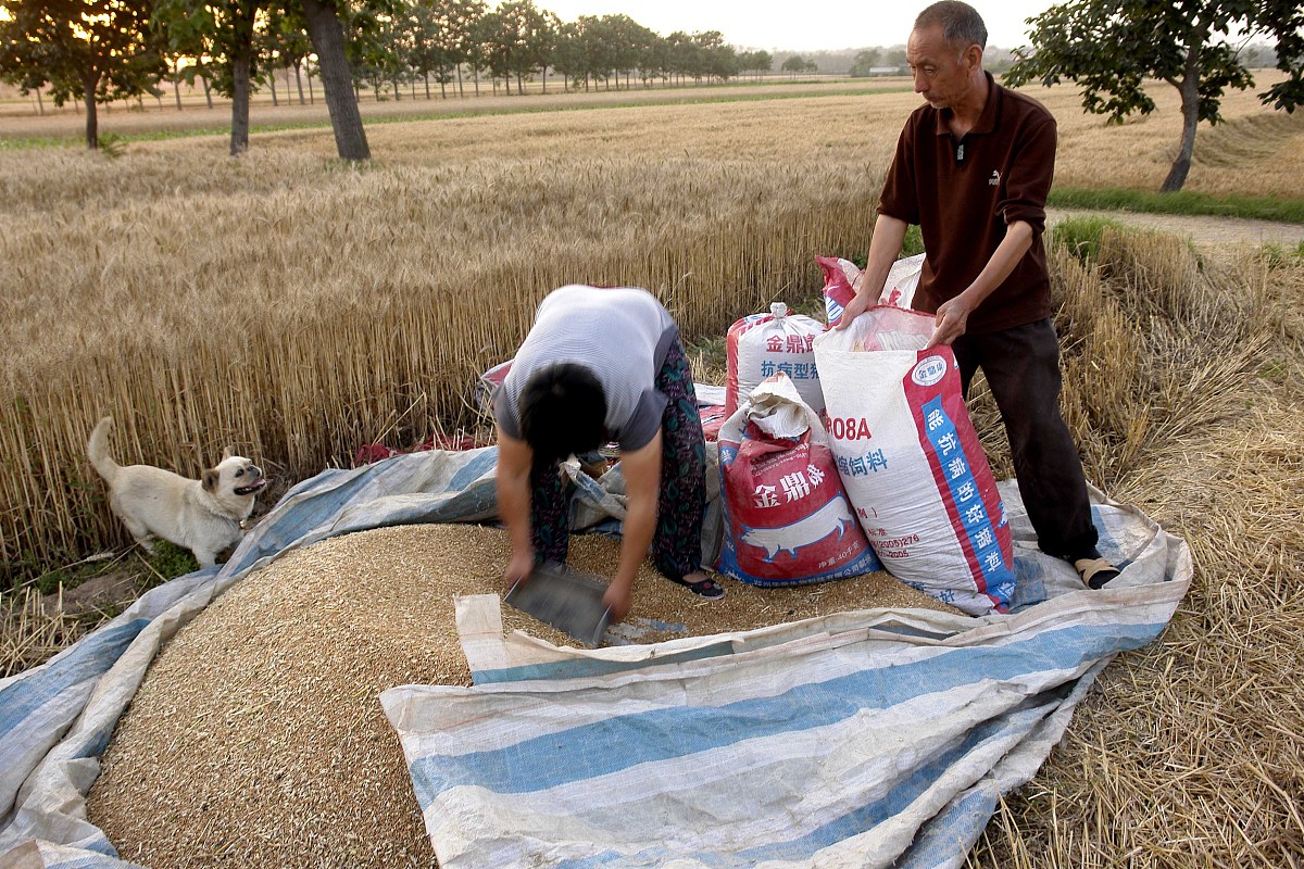 西双版纳州农业机械化技术学校怎么样？_学校地址、师资、教学质量