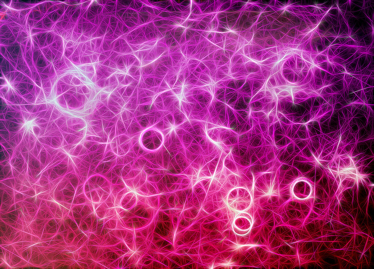 4K High-Definition Wallpaper Beautiful Women - Find Stunning Images