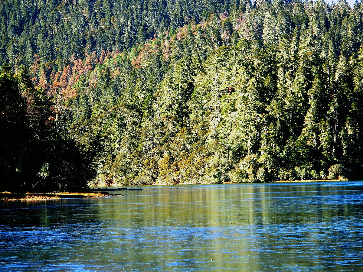 辽宁生态工程职业学院2022年就业怎么样？