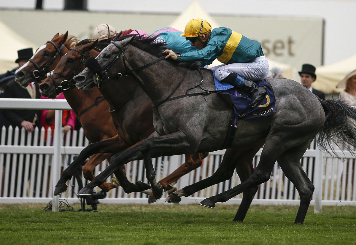 英国皇冠赛马：查尔斯夺冠，法师赢得玫瑰