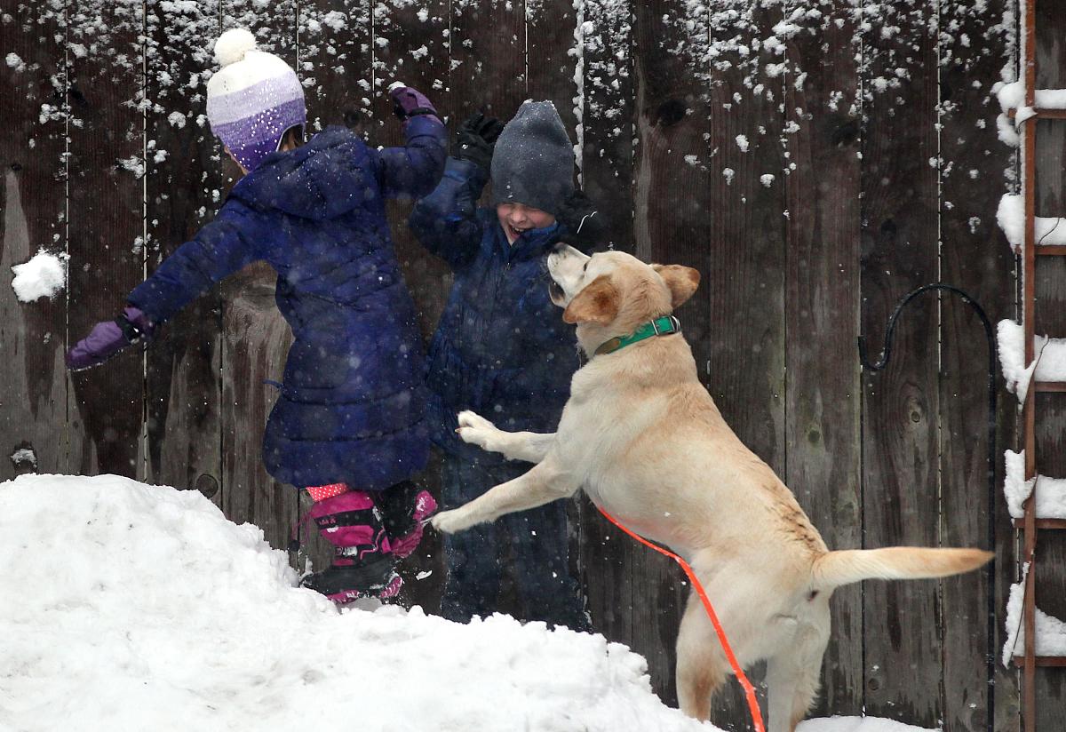 湖南省中南艺术学校包就业吗？毕业后就业情况怎么样？