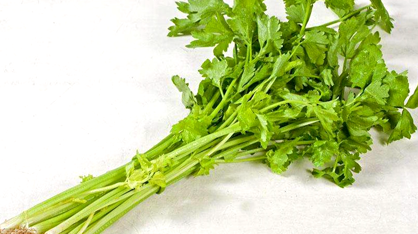 医生建议:芹菜吃叶子!你觉得是下脚料的东西营养成分高到吓人!